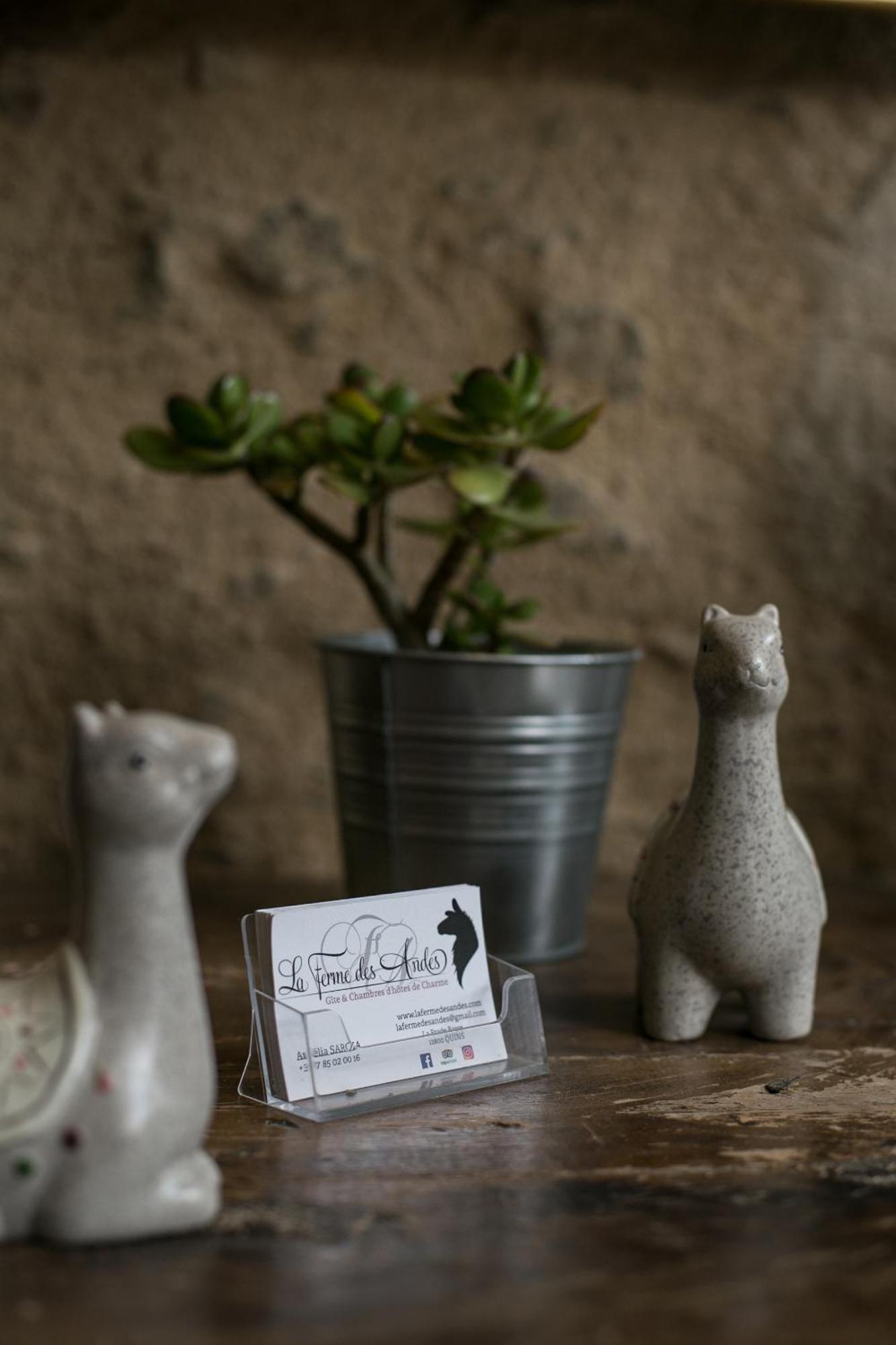 La Ferme Des Andes - Gite L'Atelier Quins Kültér fotó