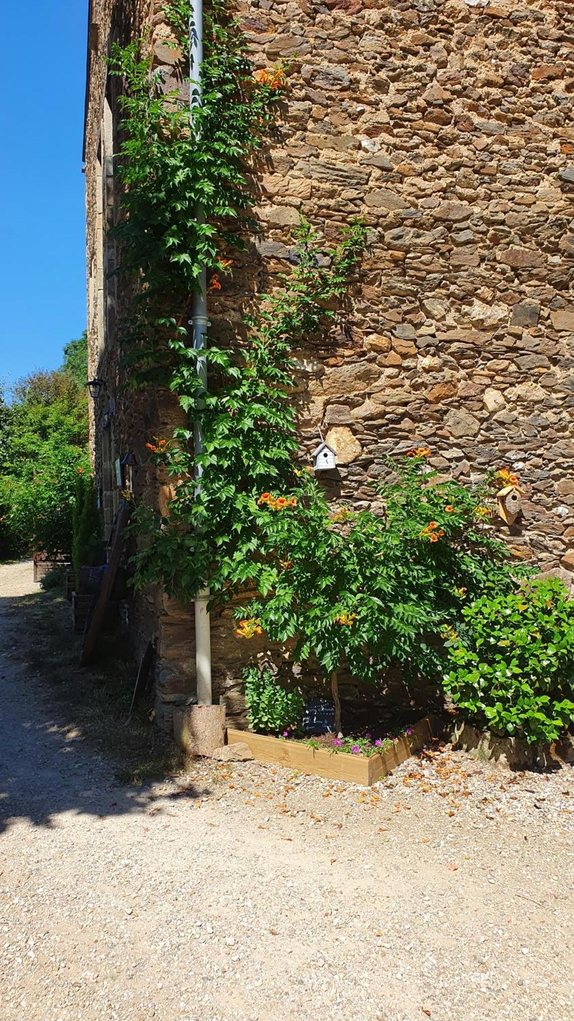 La Ferme Des Andes - Gite L'Atelier Quins Kültér fotó