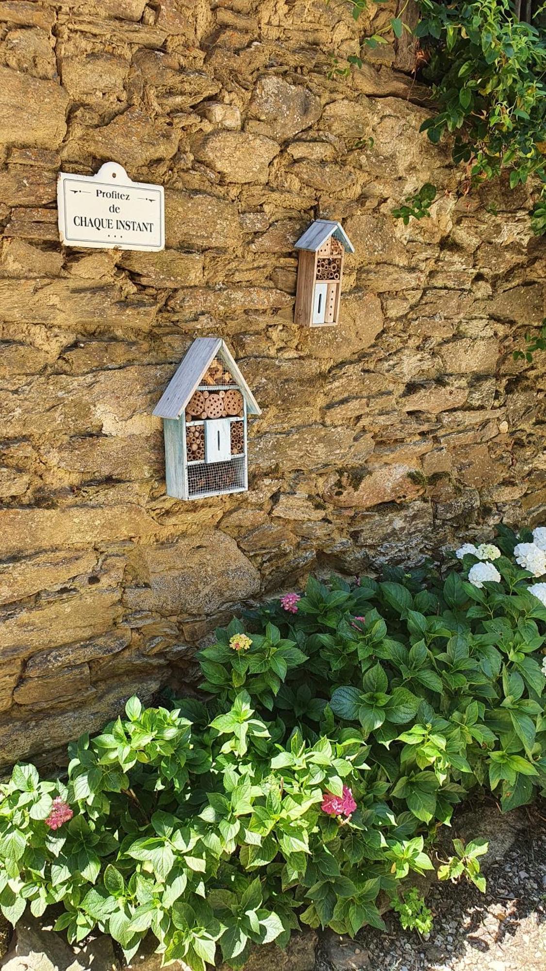 La Ferme Des Andes - Gite L'Atelier Quins Kültér fotó