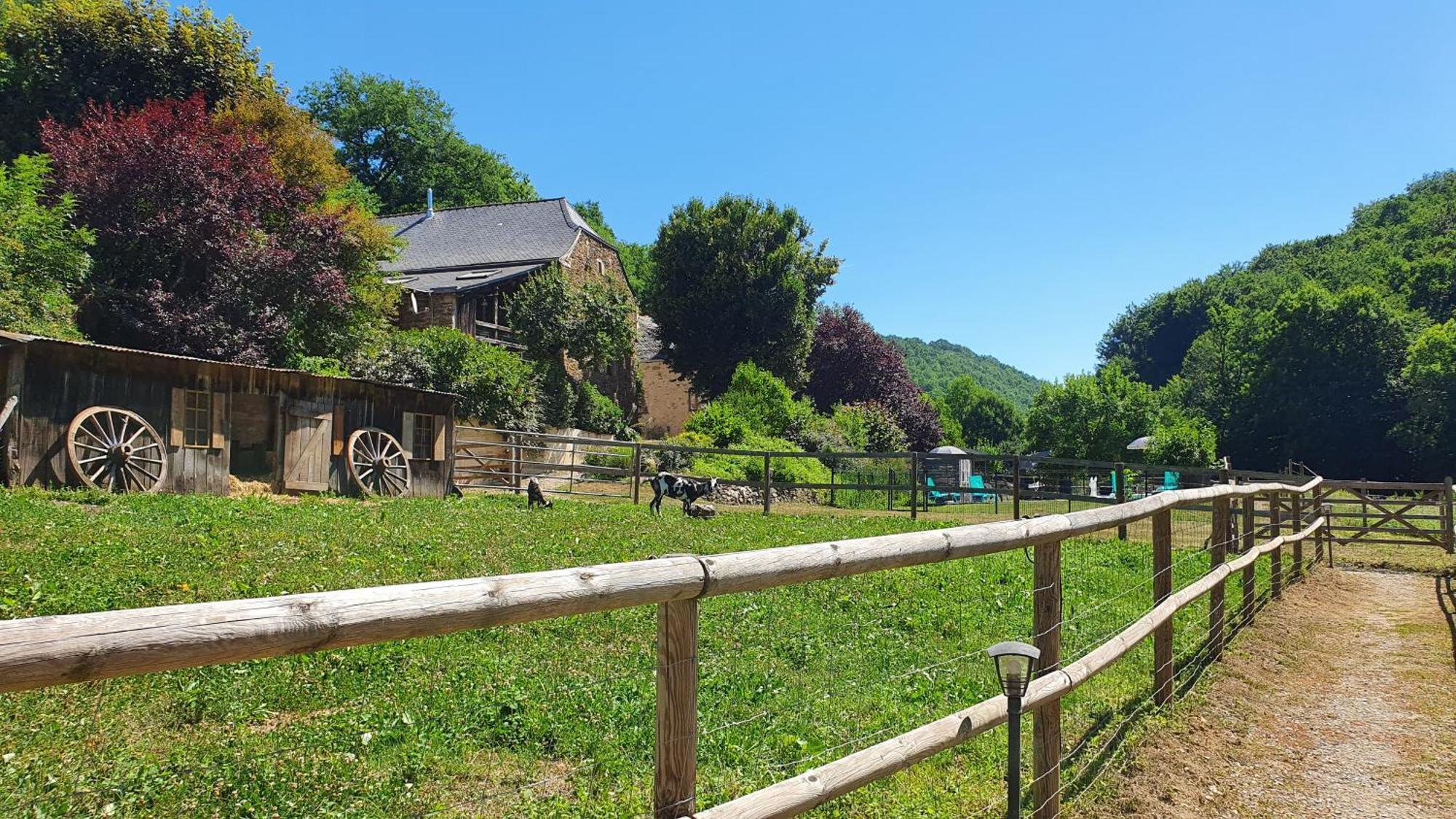 La Ferme Des Andes - Gite L'Atelier Quins Kültér fotó