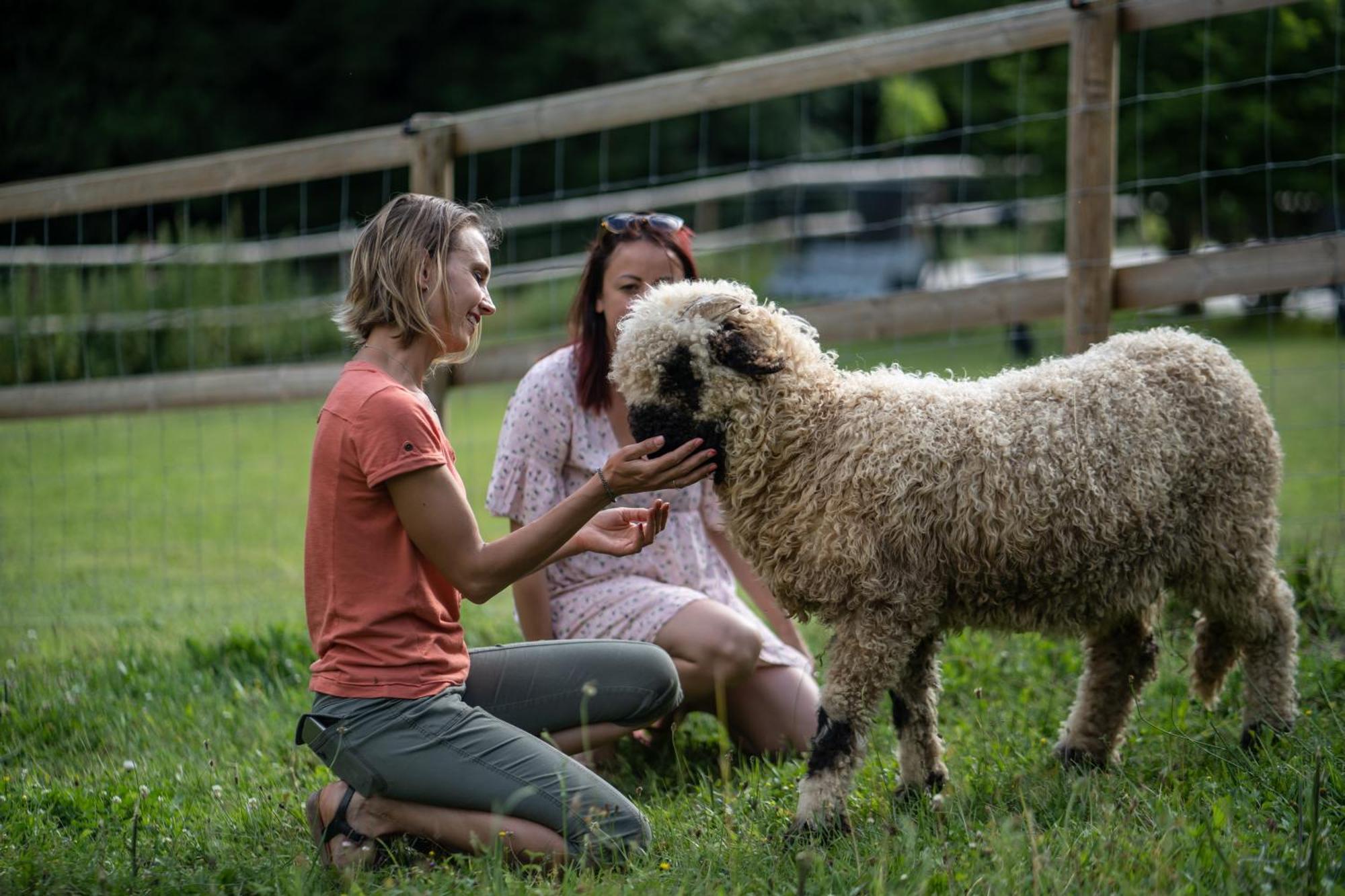 La Ferme Des Andes - Gite L'Atelier Quins Kültér fotó
