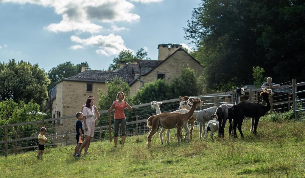 La Ferme Des Andes - Gite L'Atelier Quins Kültér fotó