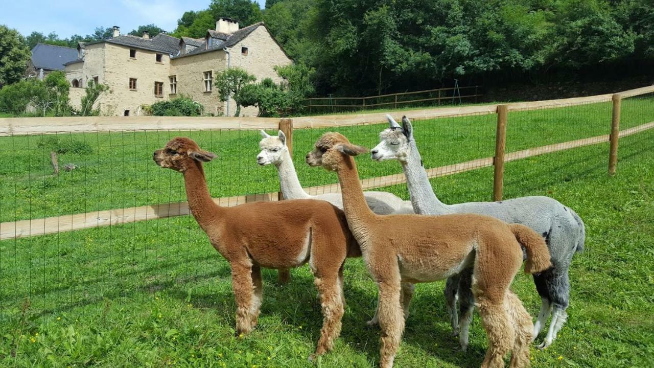 La Ferme Des Andes - Gite L'Atelier Quins Kültér fotó