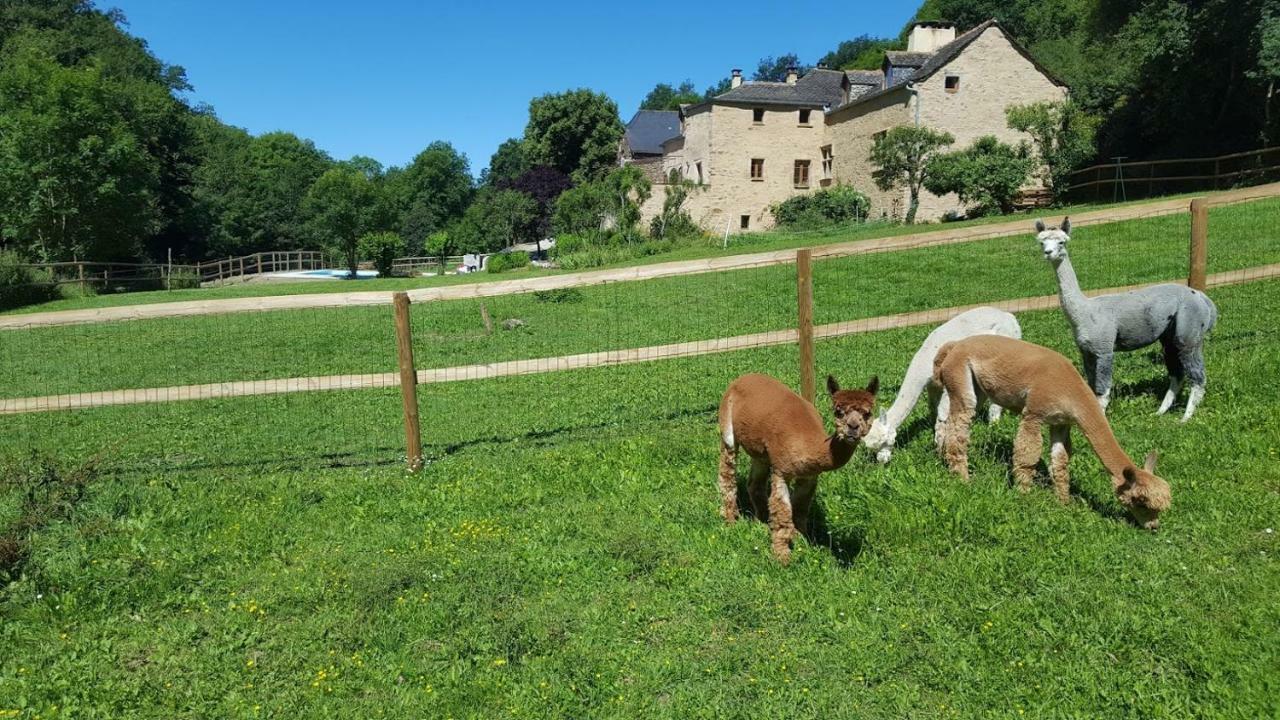 La Ferme Des Andes - Gite L'Atelier Quins Kültér fotó