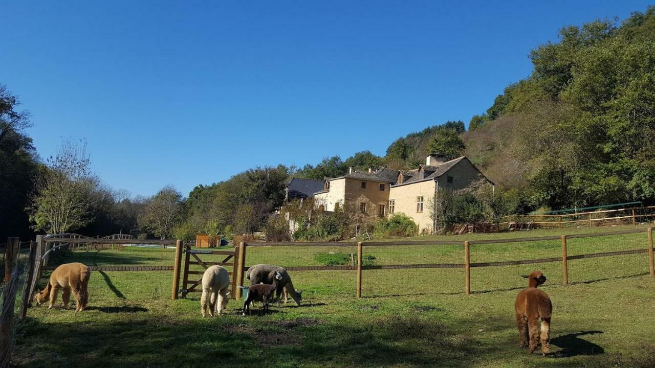 La Ferme Des Andes - Gite L'Atelier Quins Kültér fotó